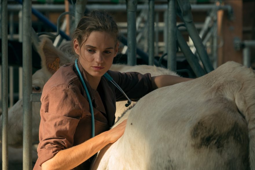 Les vétos Bande Annonce actualité UGC Distribution